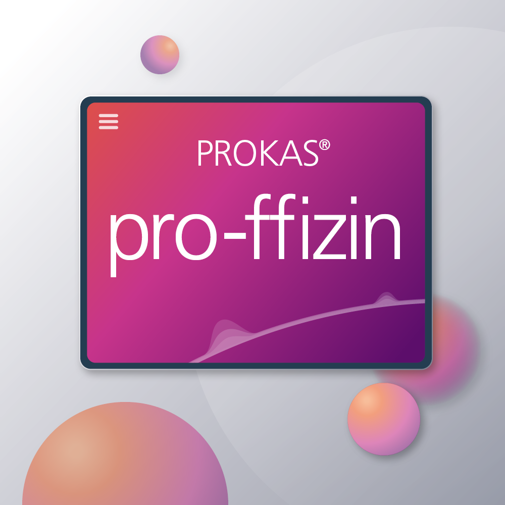 pro-ffizin Basis (bis 15 User) Computer, Elektronik